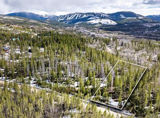 224 County Rd, Fraser, CO 80442