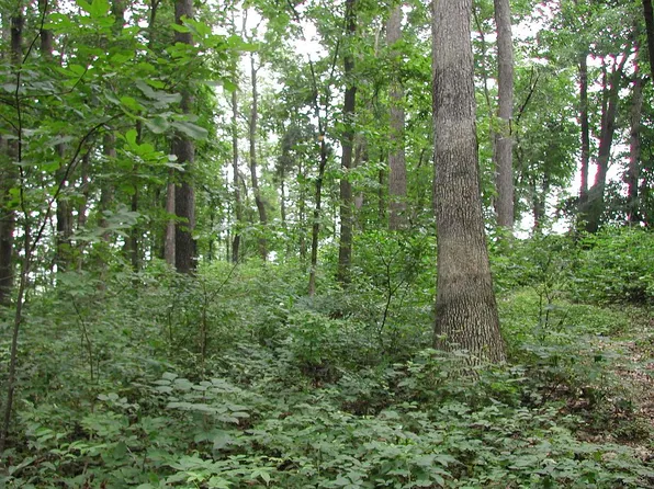 5731 Church Ln, Taneytown, MD 21787