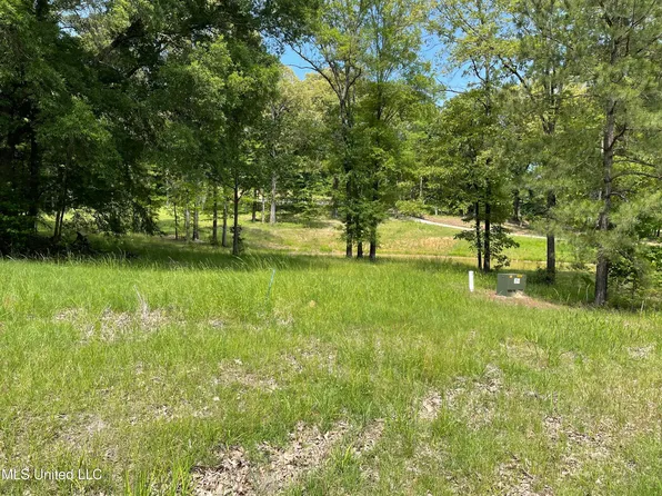 Dover Ln Lot H, Madison, MS 39110