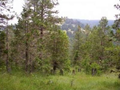 1025 Standley Rd, Glide, OR, 97443