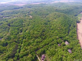 910 Wengler Rd, Pacific, MO 63069