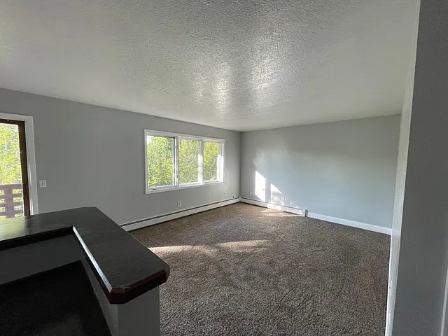 1400 E Mulchatna Dr - 1 — Photo 4