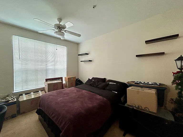 9053 Lee Vista Blvd #1409 — Photo 12
