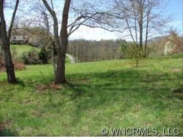 10 S Turkey Creek Rd #103, Leicester, NC 28748