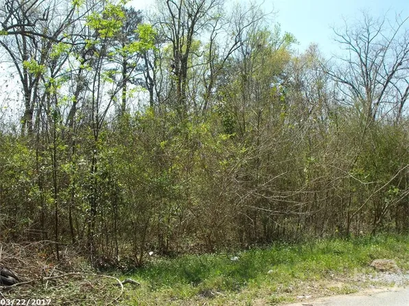 0 Borum, Unadilla, GA 31091