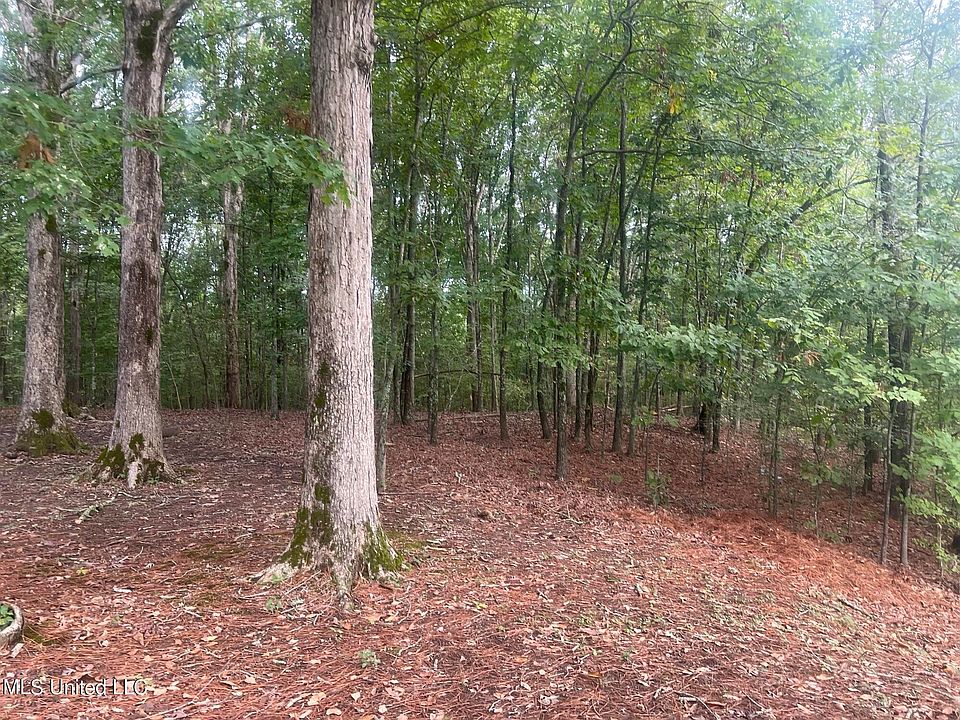 2nd image of 4585 Polk Ln