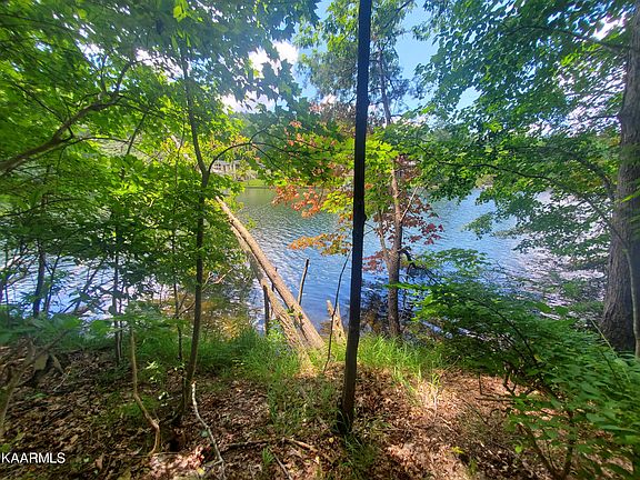 4th image of 132 Chatham Ln
