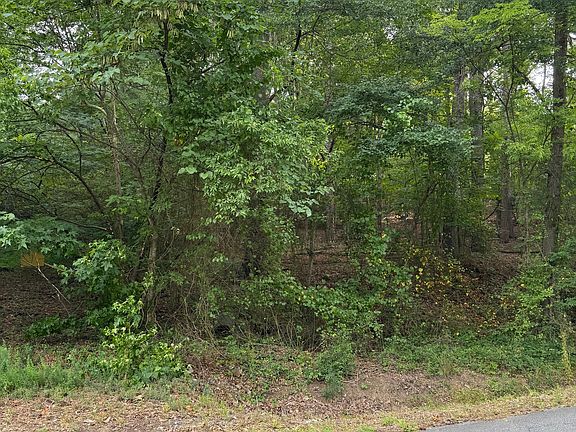 2nd image of 0 Callier Springs Rd