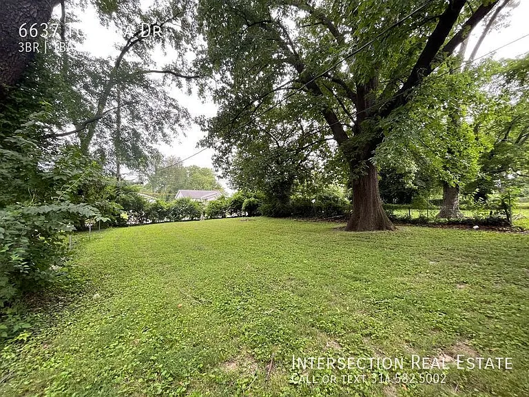 6637 Torlina Dr — Photo 15