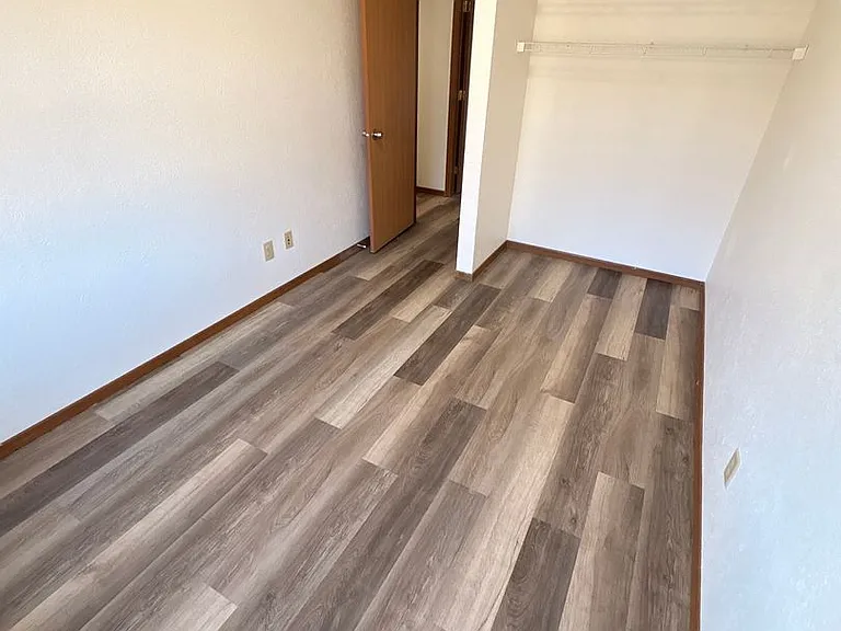 Ivy Apartments — Photo 6