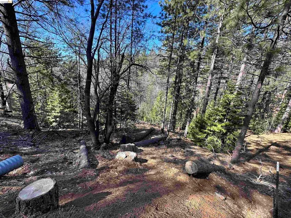 23956 Stable Rd, Sonora, CA 95370