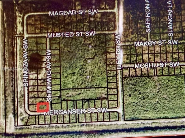 Merganser Street Sw & Slimtwig Ave, Palm Bay, FL 32908