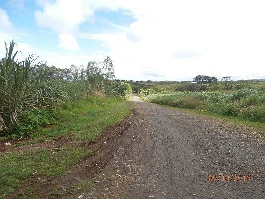 1st image of LOT 20 Lot 20