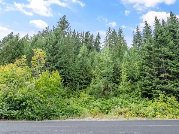 234XX N Mount Spokane Park Dr, Mead, WA 99021