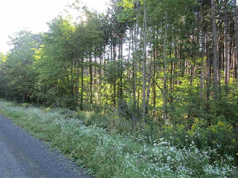 3rd image of 0 ZACH HILL Road