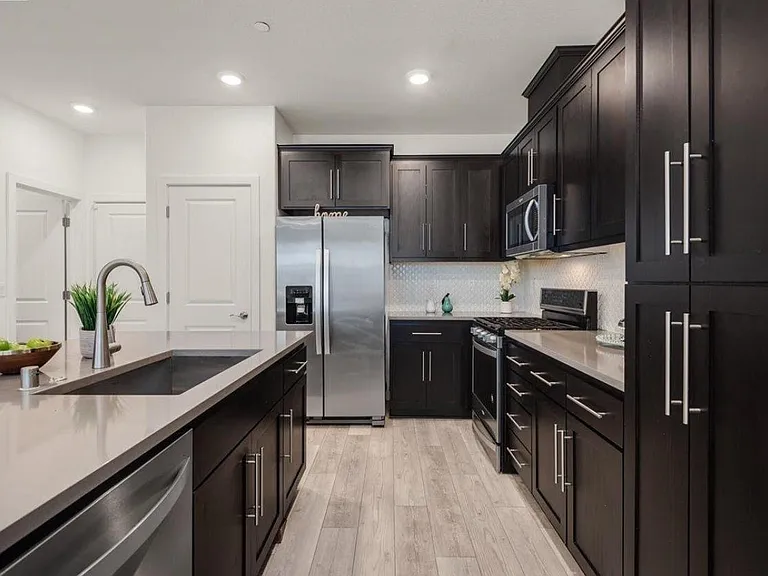 40689 Squill Cmn — Photo 5