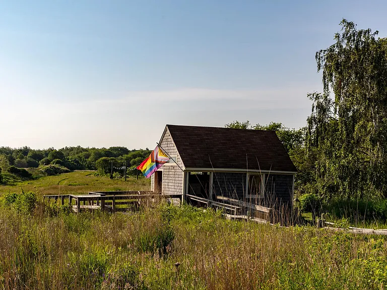 Explore the beauty of Daniel Webster Wildlife Sanctuary, just minutes from Modera South Shore.