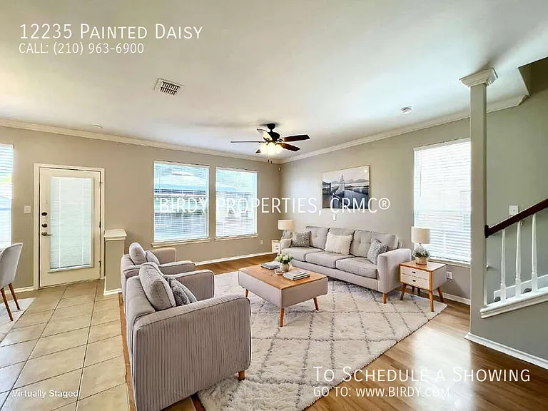 12235 Painted Daisy — Photo 3
