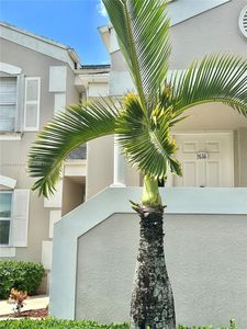 2636 SE 21st Ct #204-C, Homestead, FL, 33035