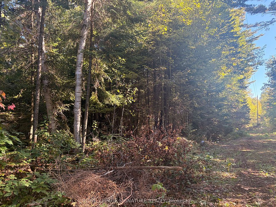 1st image of 63 Bunny Trl