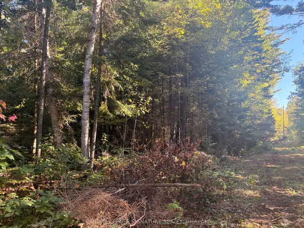 63 Bunny Trl, McDougall, ON P2A 2W7