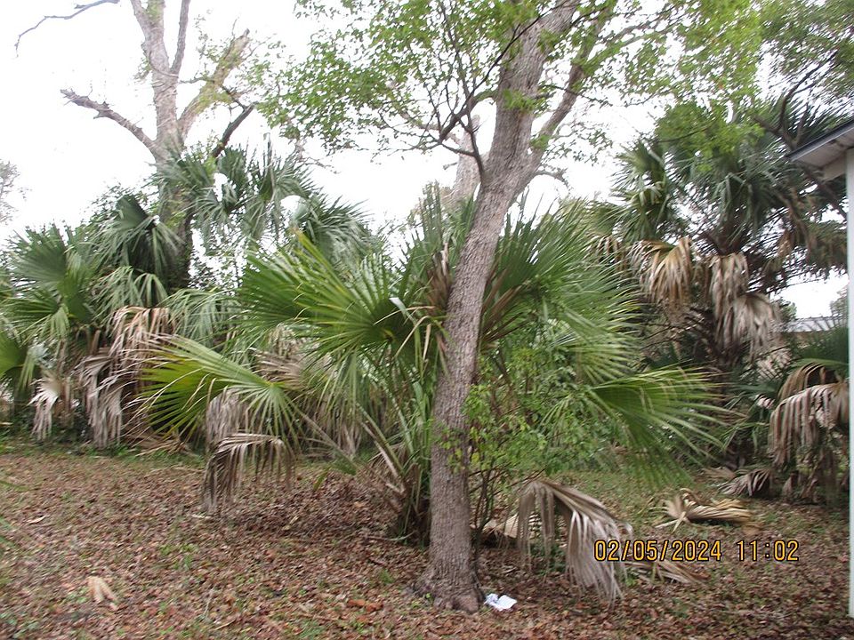 2nd image of 213 Avenue A