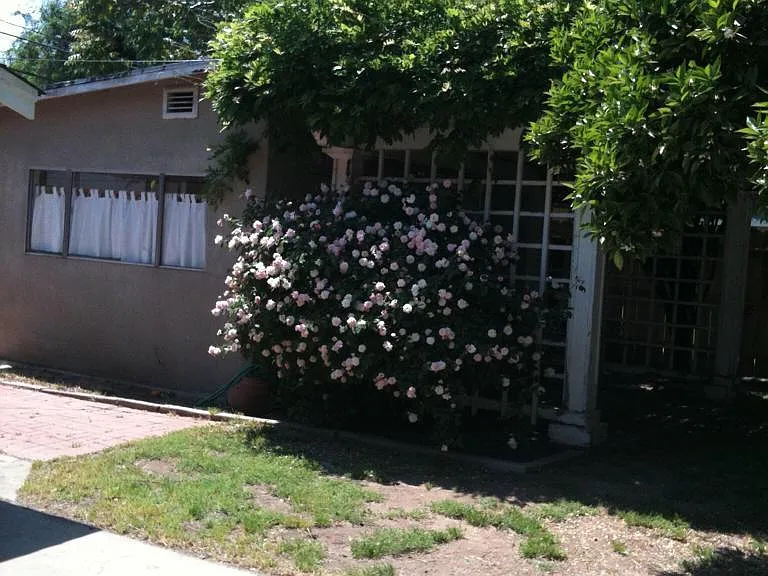 710 E Terrace Ave — Photo 19