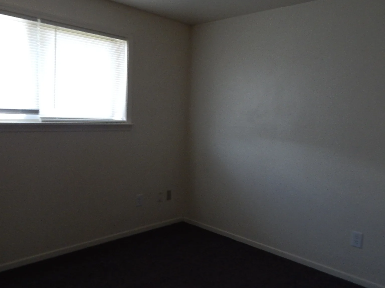 2 bed, $925 — Photo 3