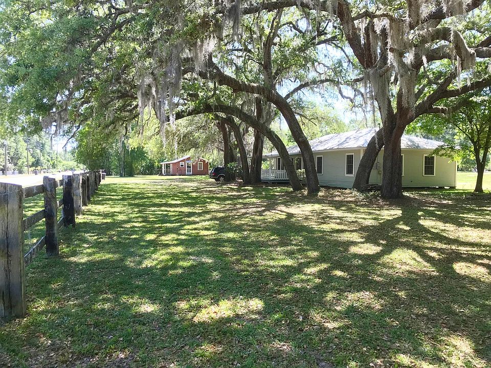 Majestic Live Oaks 