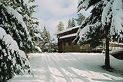east view, winter 1998