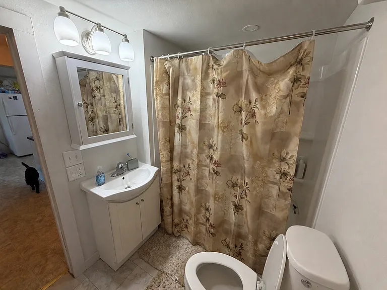 1524 Necessity St — Photo 6