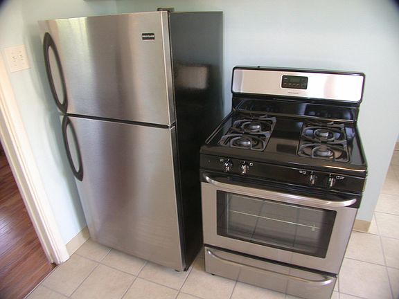 Stainless steel gas stove and frig.