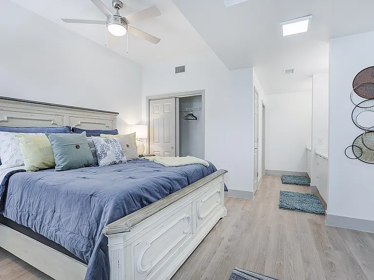 Modern Layouts, Natural Light