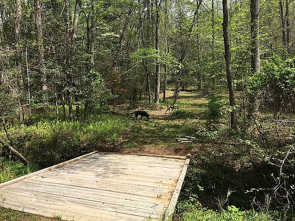 Bridge over the spring