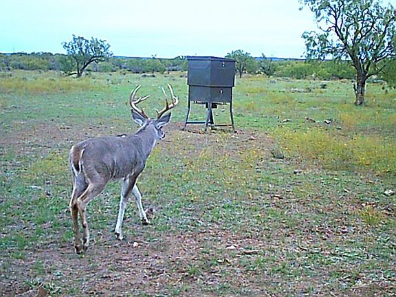 2nd image of 88291 Suaa Rd #286