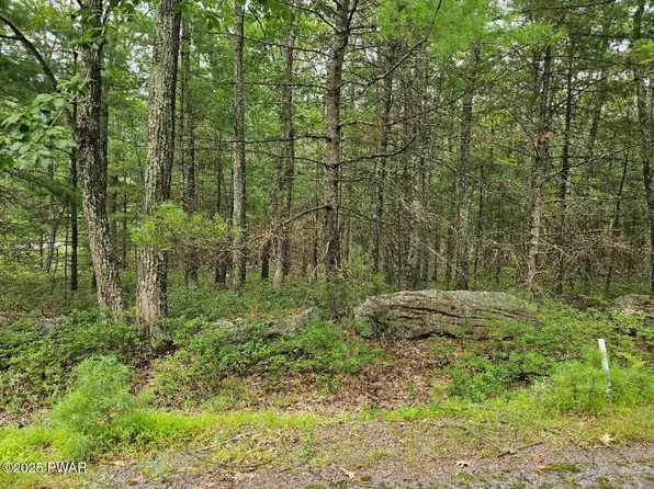 LOT 42 Ripplewood Dr, Tafton, PA 18464