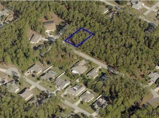 16 Rippling Pl, Palm Coast, FL 32164