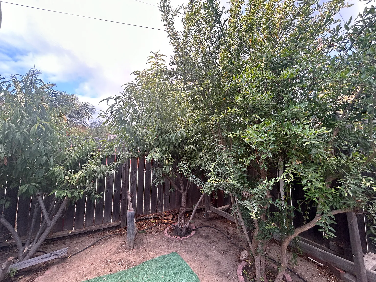 Frankfort St, San Diego — Photo 4
