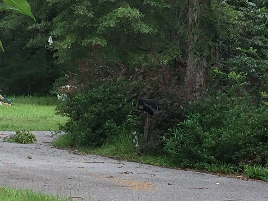 2nd image of 142 Jack Moss Rd