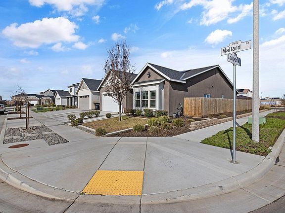 4th image of 2446 W Mallard Lane
