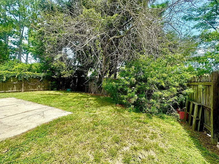 13087 Odyssey Lake Way — Photo 13