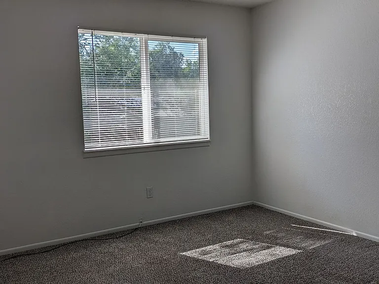 3450 Cochran Dr — Photo 20