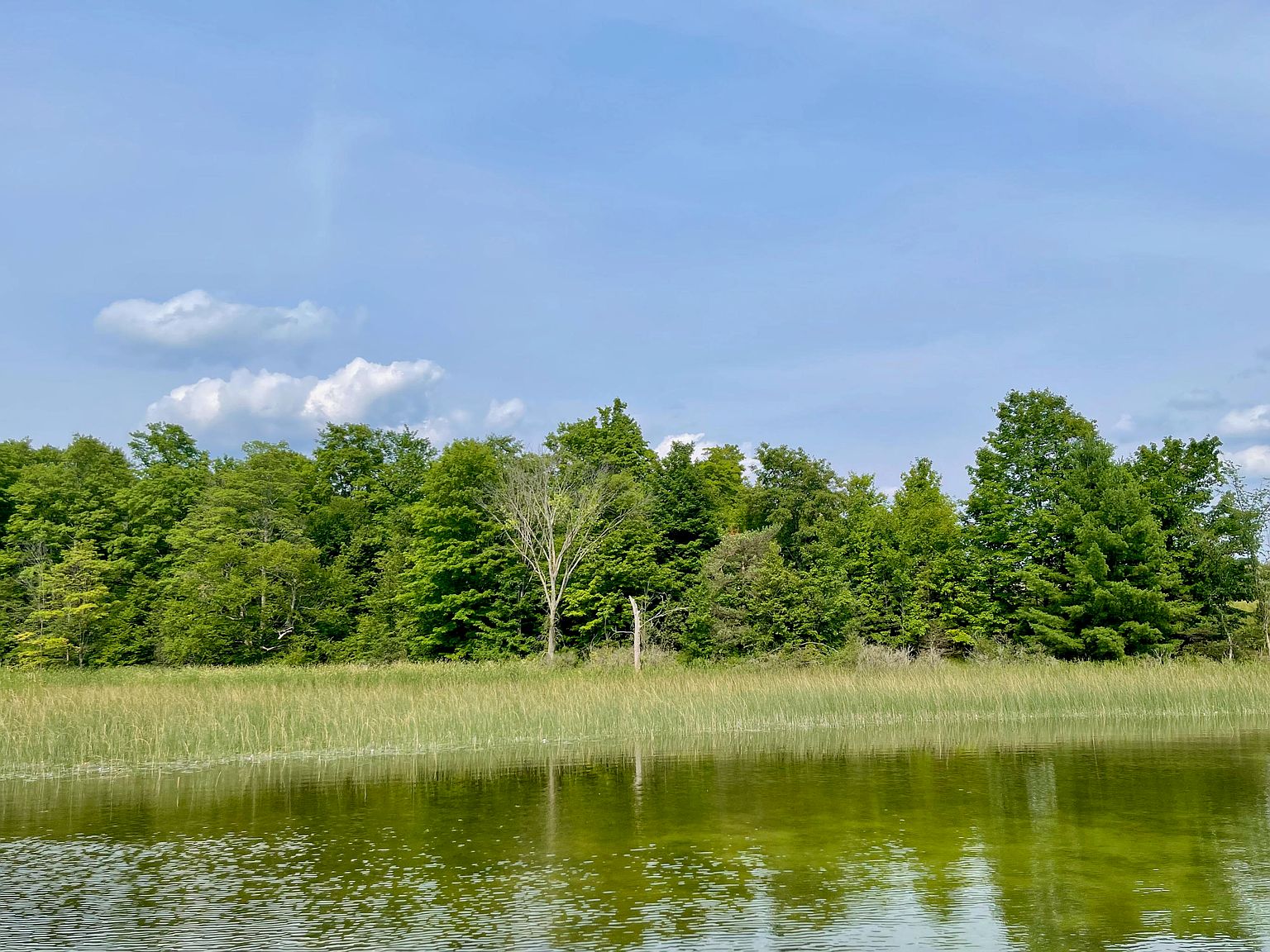 805 Guenther Rdg, Gaylord, MI 49735 MLS 201814189 Zillow