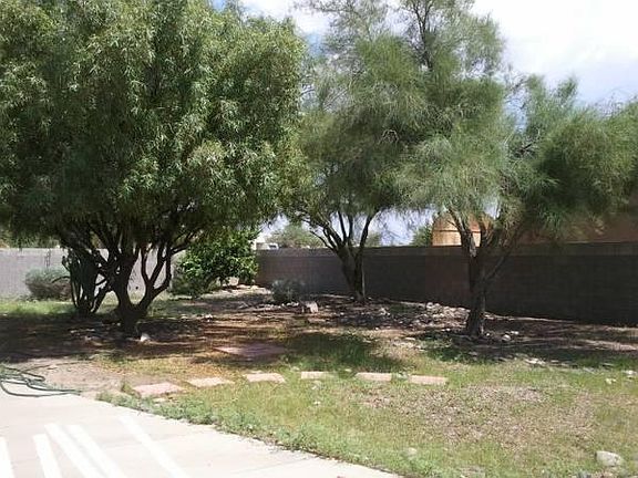 Large yard, orange tree in corner requires consistent wateri