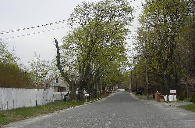 2nd image of 665 Banana St