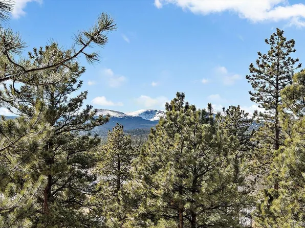 324 Stage Coach Drive, Bailey, CO 80421