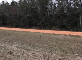 1187 Acre James Peaden Road & Hwy #2, Baker, FL 32531