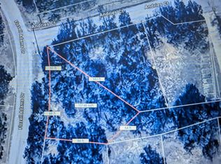 LOT 20 Andries Ct, Bridgeport, TX 76426