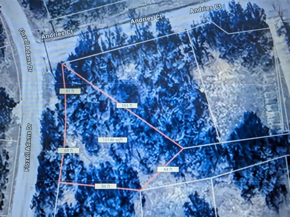 LOT 20 Andries Ct, Bridgeport, TX 76426