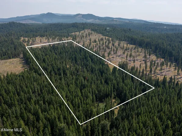 Nna Baum Rd, Saint Maries, ID 83861